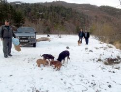 Açlıktan Yollarda Telef Olan Kuşlar İçin Yem Bırakıldı