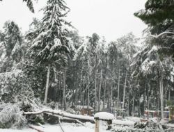 Yağan Kar Elektrik Kesintilerini Artırınca Jeneratör Satışları Arttı