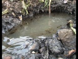 Haydarpaşa'da Denize Yağ Akıyor