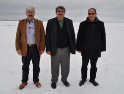 Ziraat Odası Başkanı Açıkgöz: Kar Yağışı Ve Sis Tarla Farelerini Öldürür