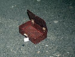 Emniyet Yakınında Şüpheli Paket Alarmı