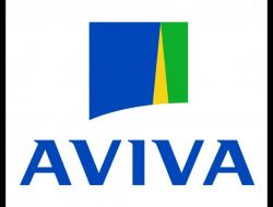 Aviva’dan Vanlı Öğrencilere Okul Yardımı