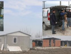 Kemalpaşa Belediyesi: Köpeklerin Zehirlenerek, Öldürülmesi Söz Konusu Değil