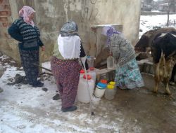 Elektrikleri Kesilen Köylüler Kış Ortasında Susuz Kaldı