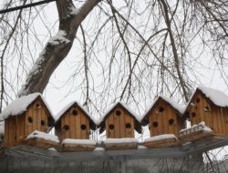 Kars'ta Kar Yağışı İle Dondurucu Soğukların Etkisi Azaldı