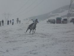 Erzurum 1. Kış Spor Festivali Kapsamında Cirit Gösterisi Yapıldı
