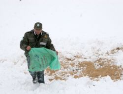 Tweeter'daki Mesaj Aç Geyikleri Ölümden Kurtardı