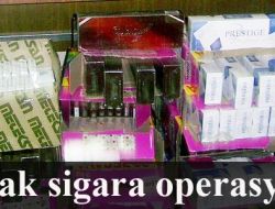 Kağızman'da 20 Bin Paket Kaçak Sigara