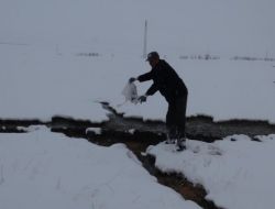 Yabani Hayvanlar, Bırakılan Yemlerle Korunuyor