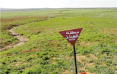 MAYINLARI NAMSA TEMİZLEYECEK!!