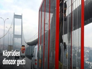 Köprüden dinozor geçti!