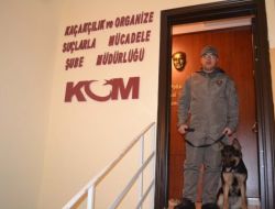 Çankırı Emniyeti'ne Taze Kan: Keita