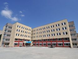 İstanbul'da Tekli Eğitim 9 Yılda Yüzde 50 Oldu