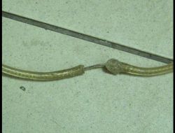 Kapıkule'de Kaçak Sigara Filtresi