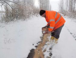 Yabani Hayvanlar İçin Açık Alanlara Yem Bırakıldı