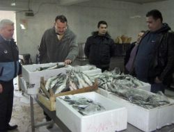 Manisa'da Sağlıksız Balık Satanlara Ceza Kesildi