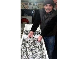 Hamsi Yeniden Tezgahlarda