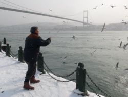 Aç Kalan Martıların İmdadına 'Yaşlı' Eller Yetişti