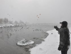 Büyükçekmece’de Kuşlar Aç Kalmadı