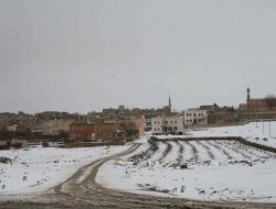 Midyat’a Yağan Kar Vatandaşları Memnun Etti