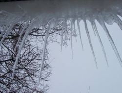 Eflani'de Dereceler Eksi 23'ü Gösterdi