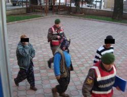 Suçüstü Yakalanan Zeytin Hırsızlığı Zanlıları Tutuklandı