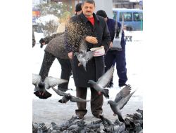 Belediye Başkanı Akın Kar Altındaki Güvercinleri Yemledi