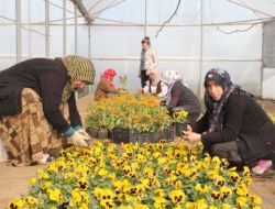 Döşemealtı’nın Çiçeklerini Depremzedeler Üretiyor