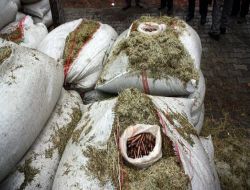 Terör Örgütü Pkk'ya Mühimmat Taşıyan 3 Kişi Tutuklandı