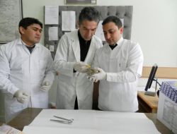 Yaralı Baykuşa Şefkat Eli Uzandı