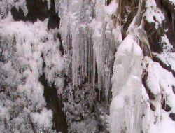 Akçaabat'tan Buz Manzaraları