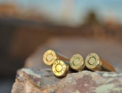 'Mke' Mermileri Düğün Eğlencesi Oldu