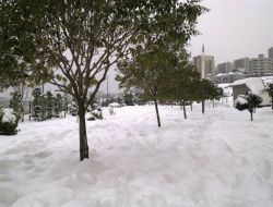 BAŞAKŞEHİR'DE KAR