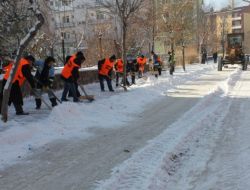 Palandöken Belediyesi Kar Temizleme Çalışması Başlattı