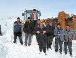 Aç Kalan Koyunların İmdadına Yetiştiler