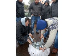 'Yeşil Hat'la 700 Bin Liralık Kaçakçılık