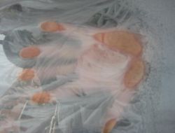 Erzurum Eksi 35'i Gördü!!