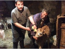 Hınıs'ta 7 Gün 24 Saat Veteriner Hekim Hizmeti Verilecek