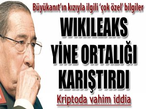 Wikileaks yine ortalığı karıştırdı