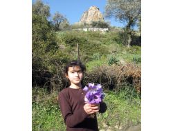 DOĞU’DA KAR, BATIDA BAHAR