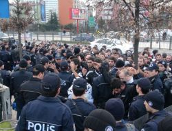 Beşiktaş Taraftarı