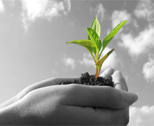 İhracatçı iç pazara yöneldi