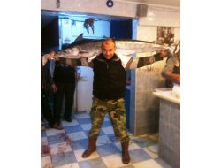 Edremitli Balıkçılar Dev Kılıçbalıkları Yakaladı