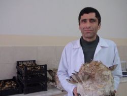 "Türkiye'de Mantara Yeterince Önem Verilmemiş"