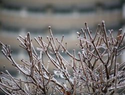 Sibirya Soğukları Romanya'da: 39 Ölü