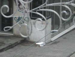 İstiklal Caddesi'nde Şüpheli Kutu Alarmı