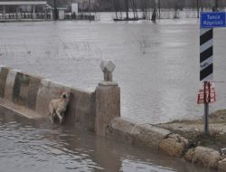 Tunca Köprüsü Suya Gömülmek Üzere
