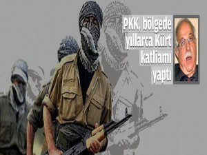 PKK, yıllarca Kürt katliamı yaptı!