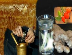 Bitki Uzmanından Domuz Gribi Tedbiri: Zencefil, Karanfil, Kuşburnu Ve Balı Karıştırıp Yiyin