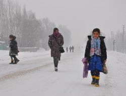 Şenovalı Öğrencilerin Başıboş Köpek Korkusu